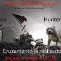 Cruzamento Hunter Shiwa campo de batalha 2