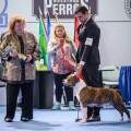 Poas Best in Show