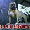 KRAFTFELD IRGAN HITLER