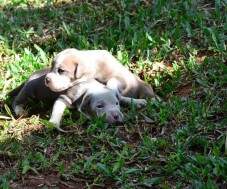 Duas maninhas!