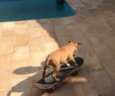 Gaya andando de skate! Nathalia está orgulhosa!