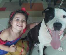 Thor New Kraftfeld filho de Beatle x Doggy na foto com a Branca de Neve (enviada por Gustavo do RJ)