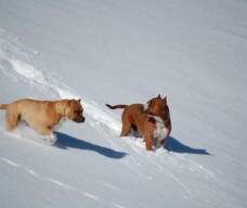 A mãe da Usa e uma amiga brincando na neve.