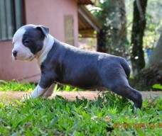 Maphia com Cielo Calígula.