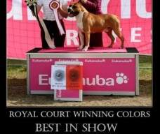 Royal Court Winning Colours 2